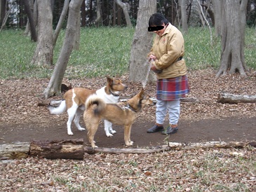 IMG_7521.JPG