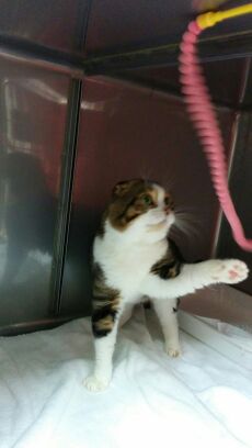 rblog-20141111104913-02.jpg