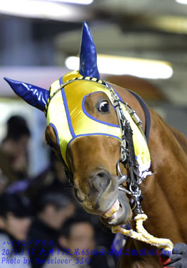 11HighlandGrass121714Kw11R_06