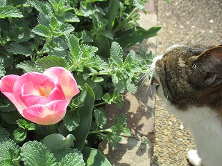IMG_9400ss.jpg