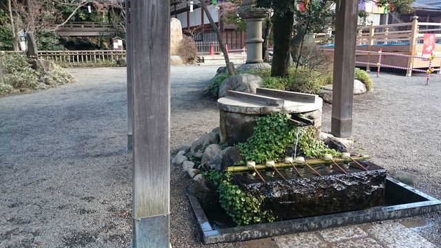2016-01-31 10.08.56.jpg