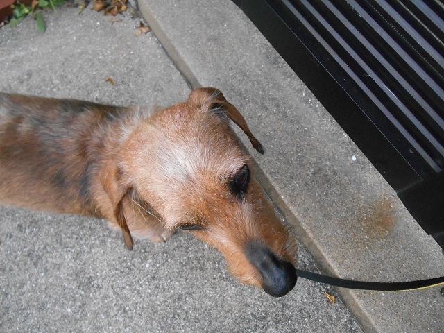 DSCN1117.JPG