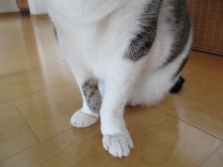 IMG_9957ss.jpg