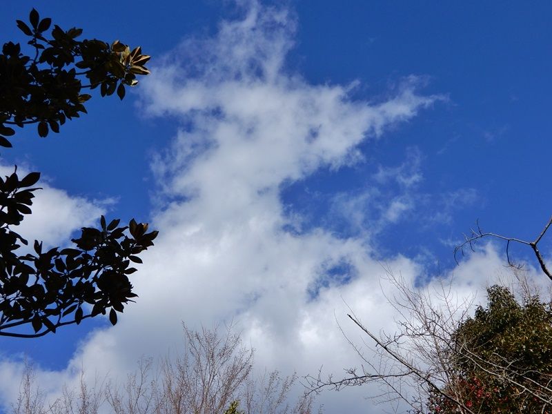 空3