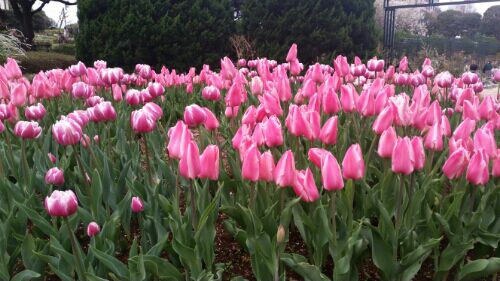 rblog-20160403131203-06.jpg