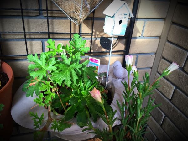 rblog-20160330191005-02.jpg