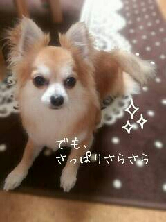 img20130425_165336.jpg
