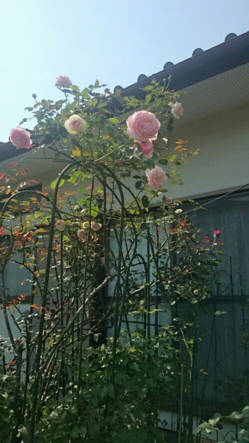rblog-20160705165152-01.jpg