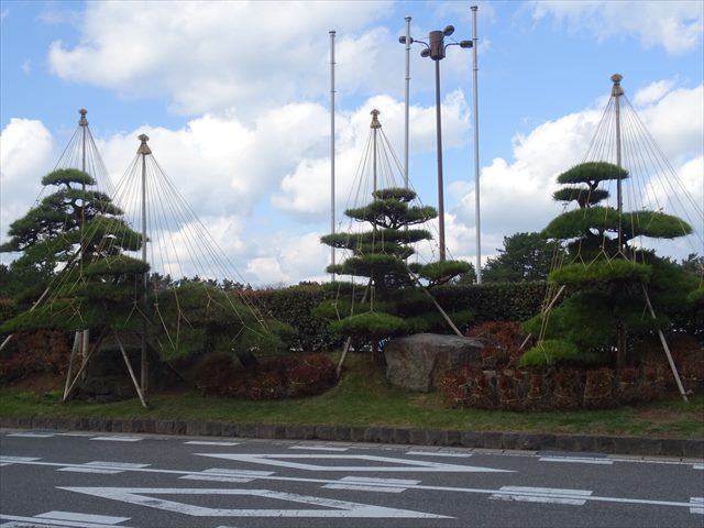 DSC07732_R.JPG