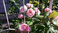 rblog-20130616160847-02.png