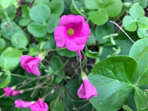 rblog-20180928162206-03.jpg