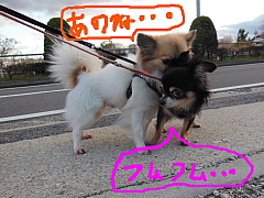 conv0649.JPG