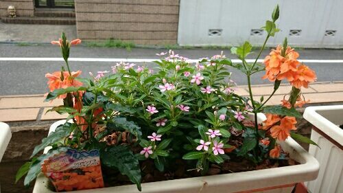 rblog-20170705154815-01.jpg