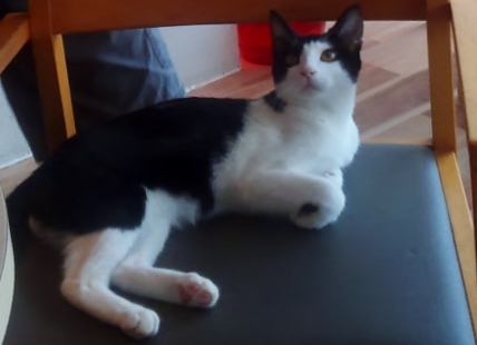 KC4F0568 (640x467).jpg