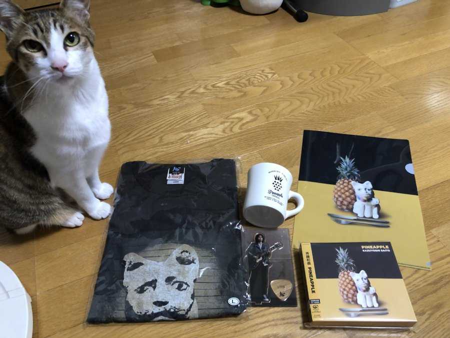 斉藤和義 コシペ通信 楽天ブログ