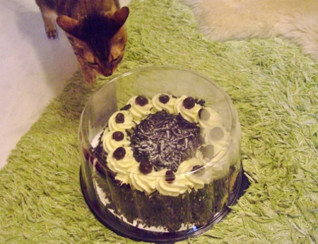 コストコ　ブラックフォレストケーキ