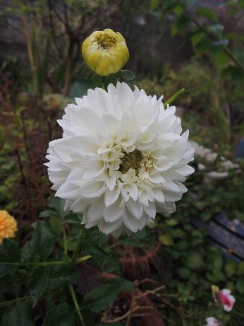 DSCN6572.JPG