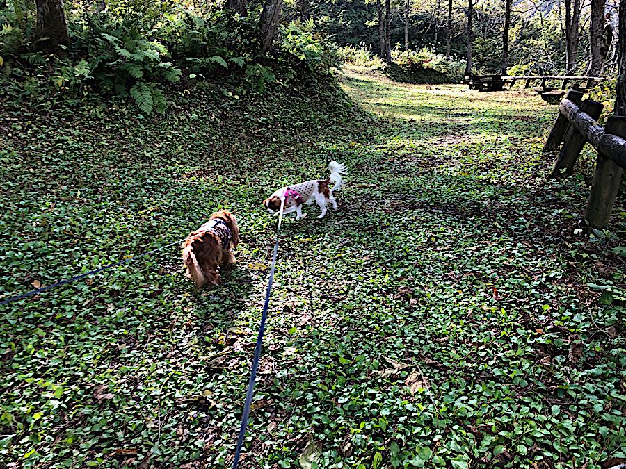 rblog-20181025215617-09.jpg