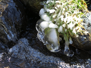 飛沫氷柱140205