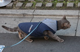 IMG_8651-7.jpg