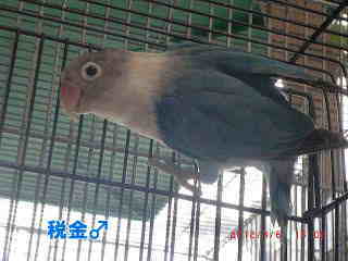 CIMG9910.jpg