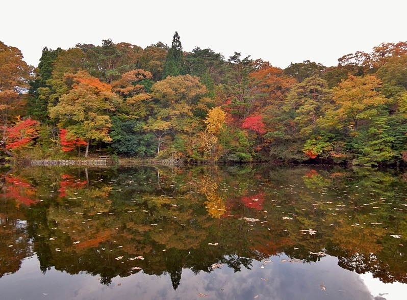 洞川湖40.JPG