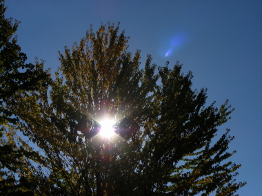 2015-09-07hikari.JPG