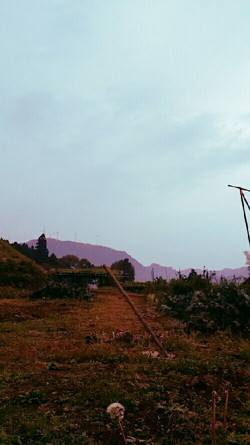 rblog-20151129173711-02.jpg