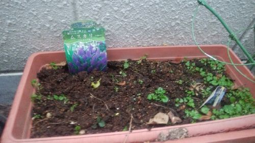 rblog-20180109030614-00.jpg
