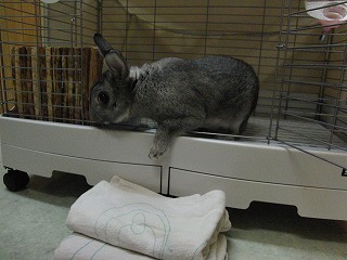 作業用画像その２ 433.jpg