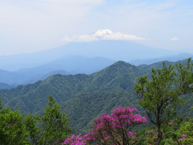 丹沢登山（3）丹沢山山頂→蛭ヶ岳山頂 | 星とカワセミ好きのブログ - 楽天ブログ