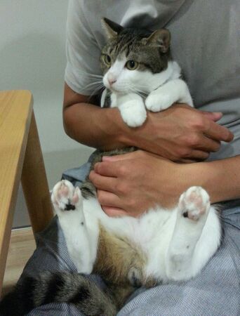 rblog-20140715234429-03.jpg