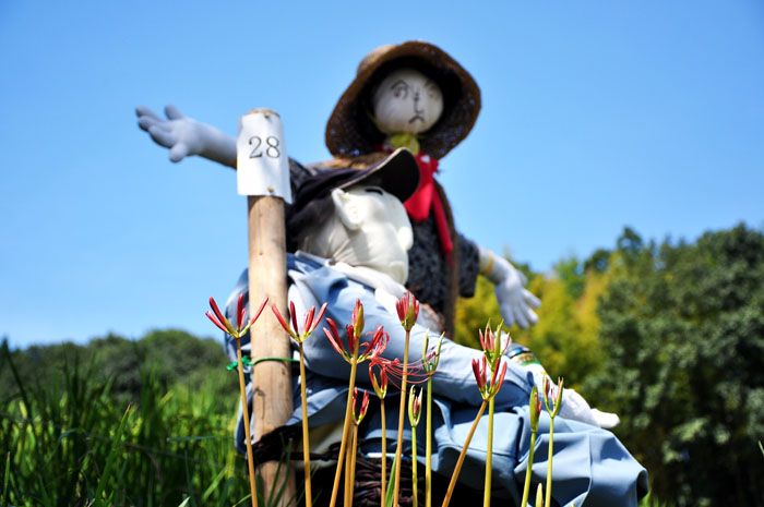 田圃４