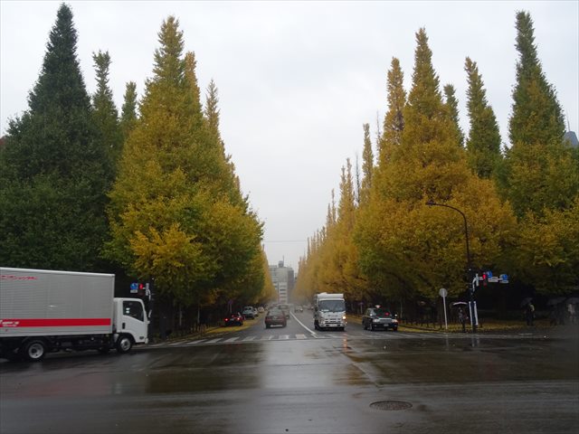 DSC07751_R.JPG