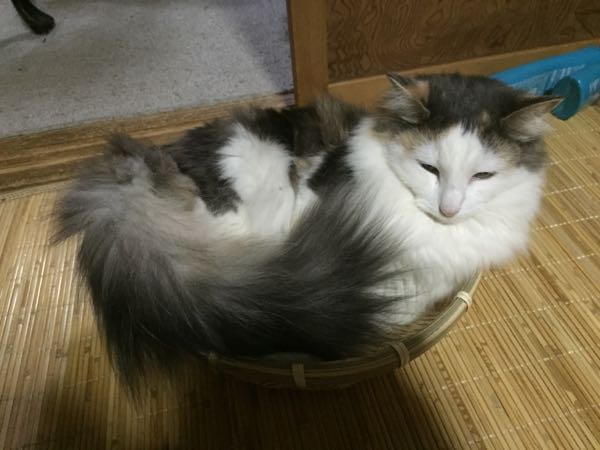 rblog-20150507142713-04.jpg
