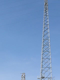 P1290653ss.jpg
