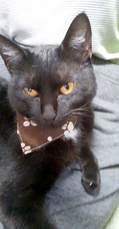 141018-Tissue5-tsumu