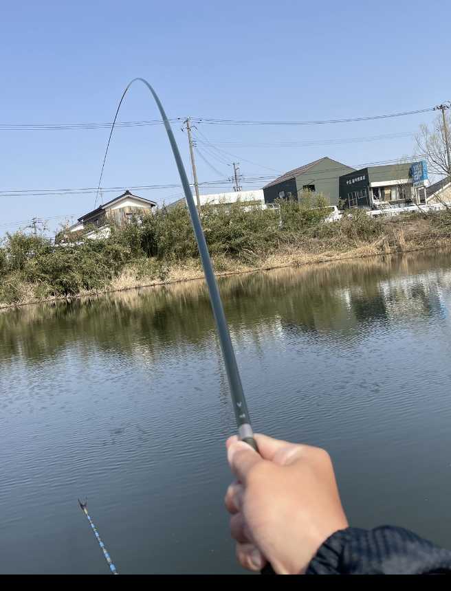 ダイワ ヘラVで両グルテンの底釣り | ヘラブナ釣り、鯉釣り - 楽天ブログ