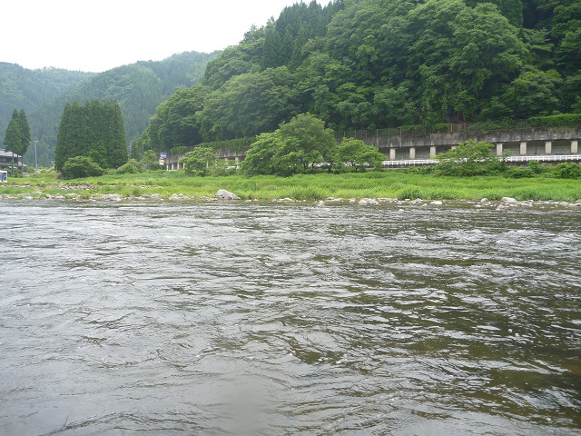 resize0051.jpg