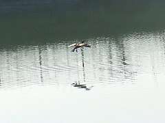conv0068.JPG