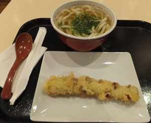 Udon1