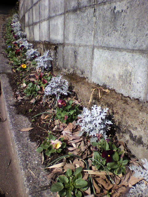 2012121611360000.jpg