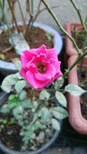 rblog-20171103112352-04.jpg