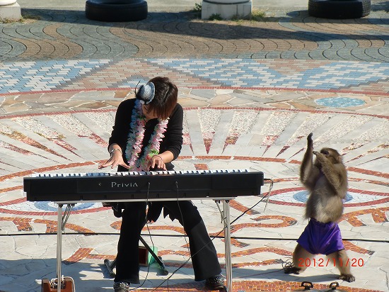 大道芸（猿廻し） 010.jpg