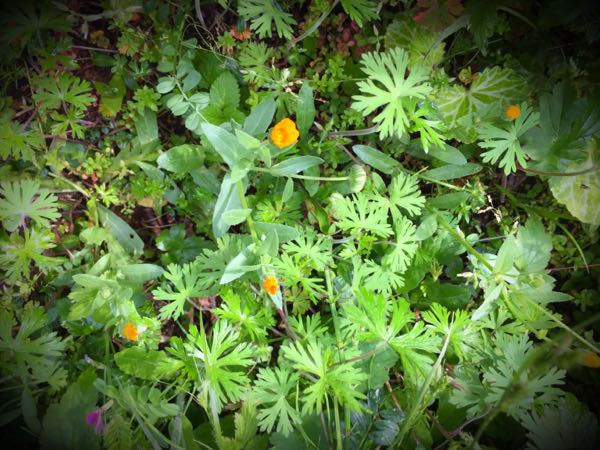 rblog-20160426010130-01.jpg