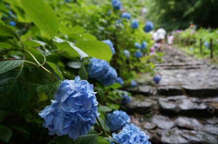 rblog-20140629195340-01.jpg