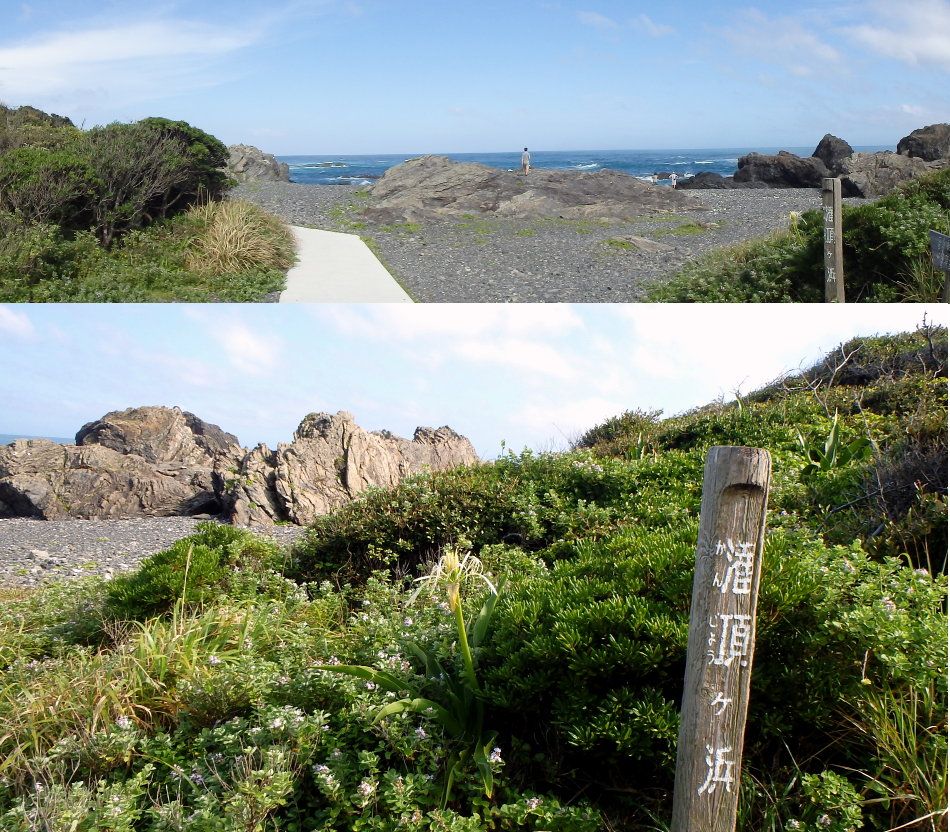 四国旅行の思い出 1 室戸岬その1 13年7月 楽天版じぶん更新日記 楽天ブログ