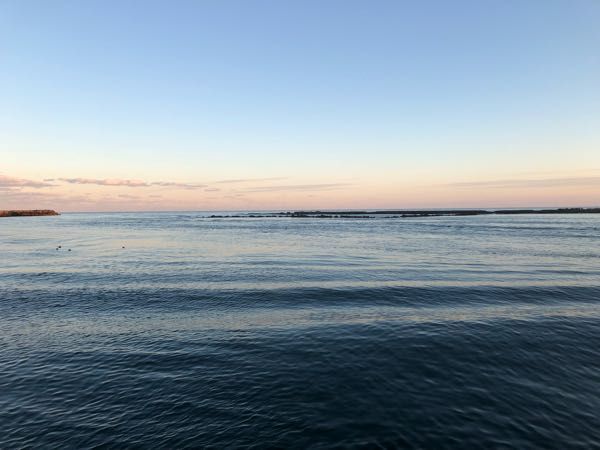rblog-20190101002432-04.jpg