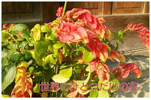 rblog-20161008173200-00.jpg
