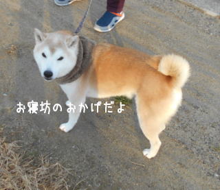 0101asa1.jpg